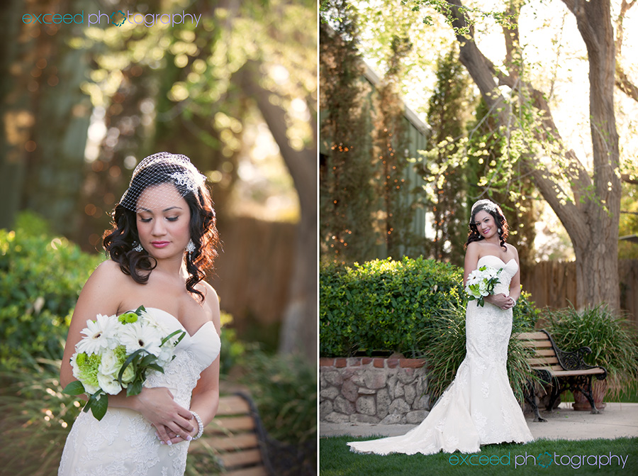 Las Vegas Wedding Photographer Jennifer And Bill Wedding At The